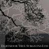 Dartmoor Tree Surgeons