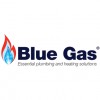 Blue Gas Services