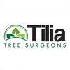 Tilia Tree Surgeons