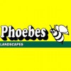 Phoebes Landscape