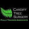 Cardiff Tree Surgery