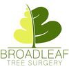 Broad Leaf Tree Surgery