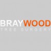 Braywood Tree Surgery