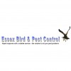 Essex Bird & Pest Control