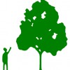 Christopher Hoare Tree Services