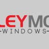 Birley Moor Windows