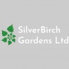 Silver Birch