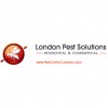 London Pest Solutions