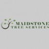 Maidstone Tree Services