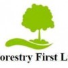 Forestry First