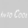 Into Cool