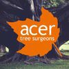 Acer Tree Surgeons