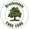 Brackendale Tree Care