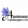 Anemone Landscapes