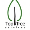 Top Tree Services