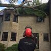 Downlands Tree Surgery