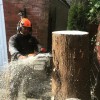 Bostock Total Tree Services