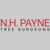 N H Payne Tree Surgeons