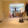 Sure-Chem Carpet Cleaning