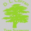 Tree Surgeons Abergavenny