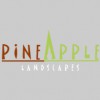 Pineapple Landscapes