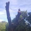 Colne Valley Tree Services