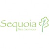 Sequoia Tree Services