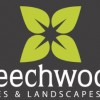 Beechwood Trees & Landscapes