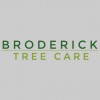 Broderick Tree Care