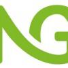 NG Chartered Surveyors