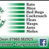 Yorkshire Pest & Wildlife Management