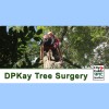 D P Kay Tree Surgery