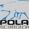 Polar Scaffolding