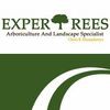 Expertrees