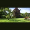 Garden & Grounds Maintenace Gardeners Newton Landscapes