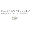 R&S Barnwell