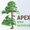 Apex Tree Services