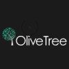 Olive Tree Building Services