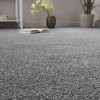 Edward Walker Carpets