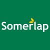 Somerlap Forest Products