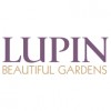 Lupin Gardening