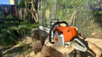 Stump Grinding