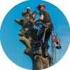 Green Valley Tree Surgery