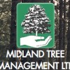 Midland Tree Management