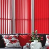 Littlehampton Blinds