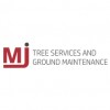 M J Tree Services London