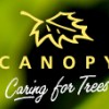 Canopy Tree Care