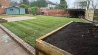 Lawns and Artificial Lawns