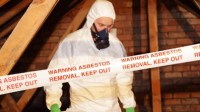 Asbestos Management